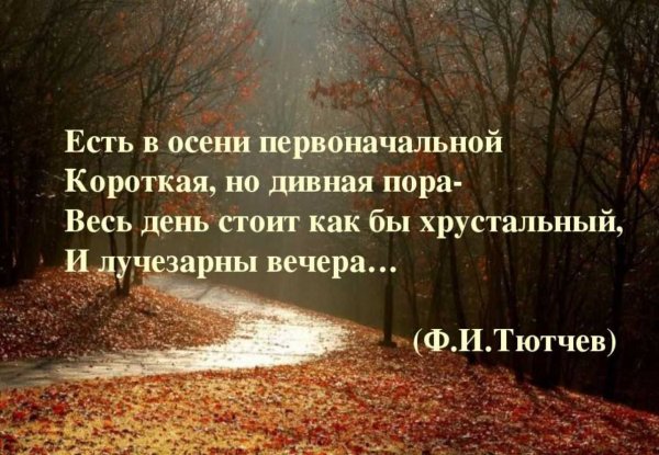 Красивые высказывания про осень