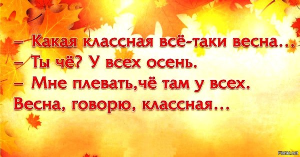 Осенние афоризмы Веселые