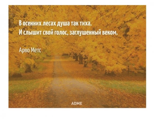Фразы про осенний лес