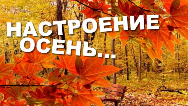 Настроение осень статусы