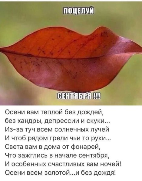 Высказывания в осенних листьях