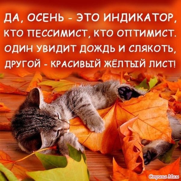 Осеннее настроение цитаты