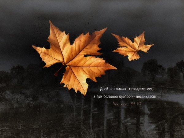 Фон для цитат осень