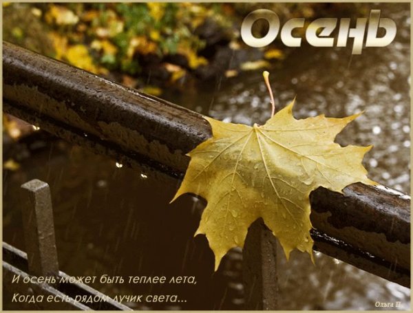 Осенние высказывания