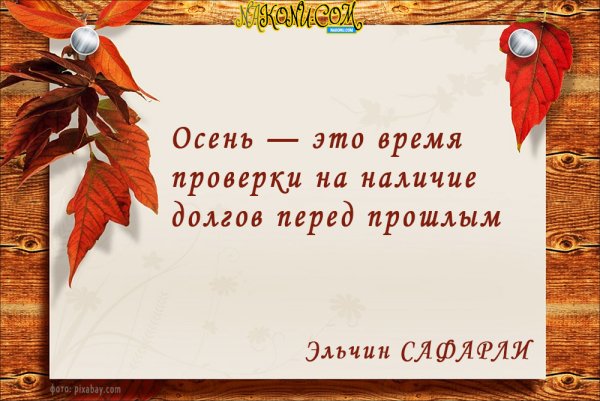 Цитаты про осень