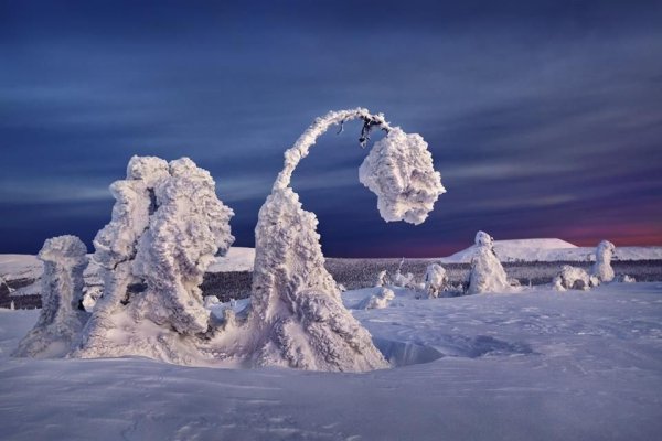 Причудливые сугробы