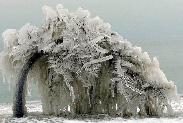 Ледяной шторм (Ice Twisters)