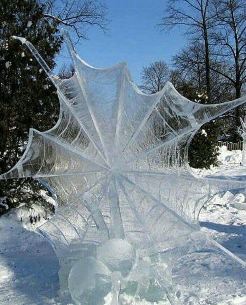 Чудеса зимы