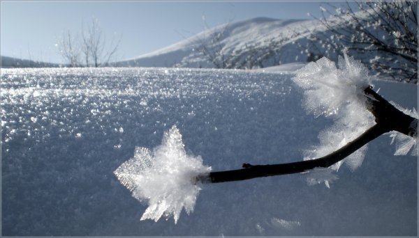 Явления природы снег