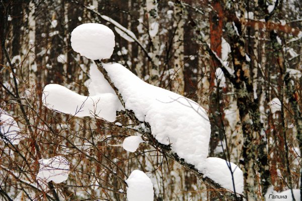 Зимние причуды природы