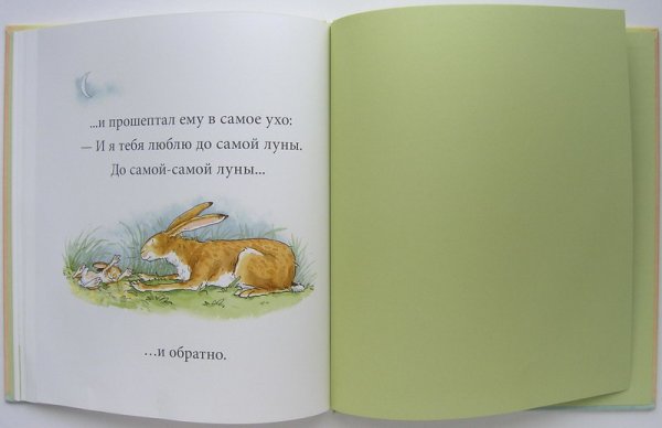 Люблю до Луны и обратно книга