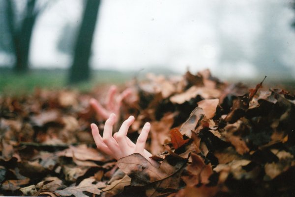 Ненавижу осень