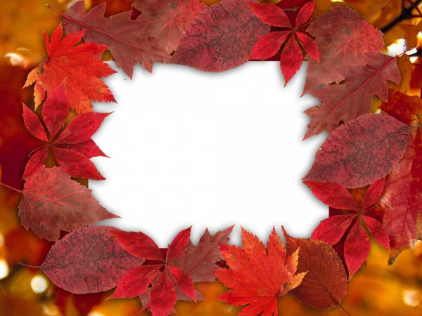 Осенняя рамка