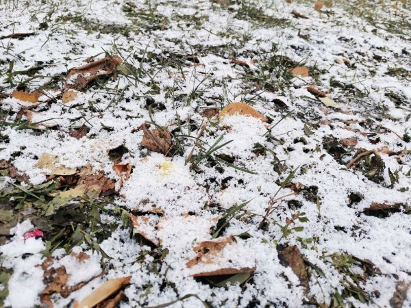 Маленький слой снега