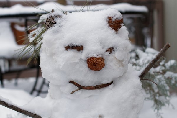 Первый зимний снежок