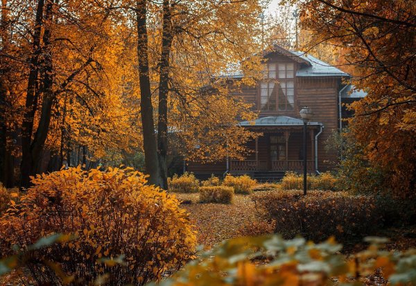 Осень дача усадьба деревня