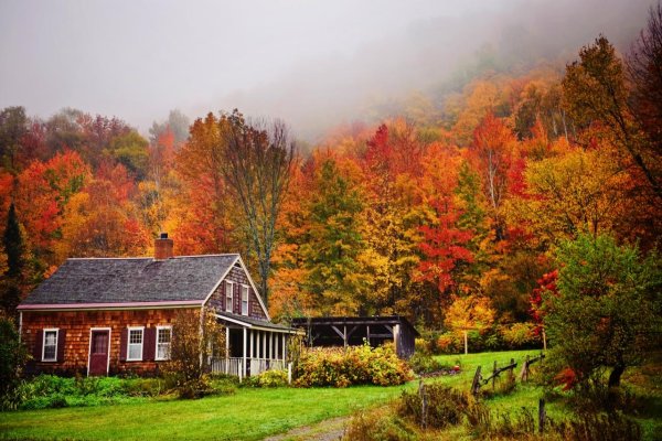 Дом в лесу осень