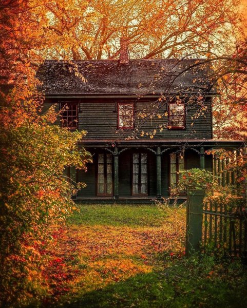 Осень дом