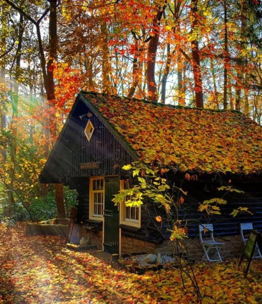 Осенний пейзаж с избой