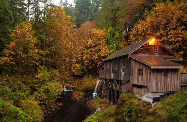 Forest House Хижина в лесу