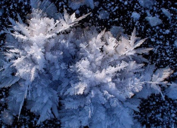 Ледяные цветы в Северном Ледовитом океане