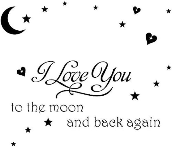 От земли до Луны и обратно