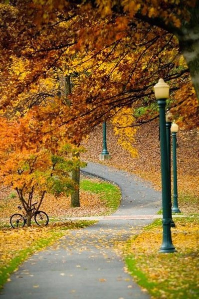 Осень вертикальные