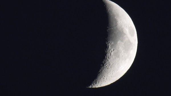 Луна черно белая