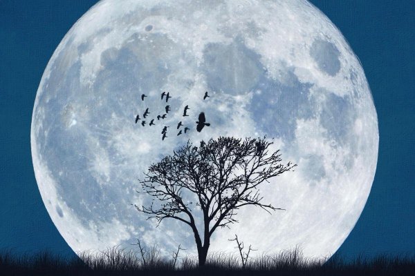 Луна полнолуние