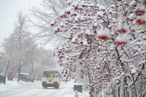 Бердск зимой