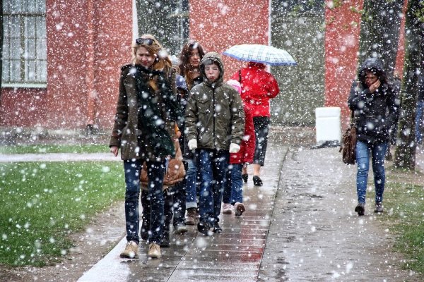 Снегопад весной