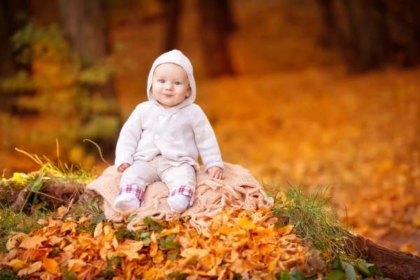 Природа осенью для детей