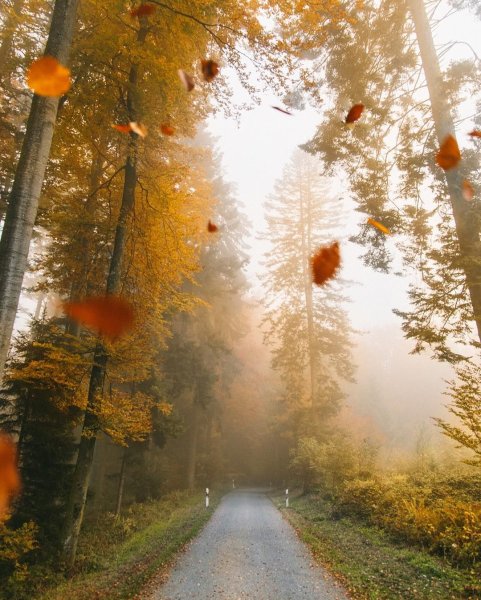 Осенний воздух