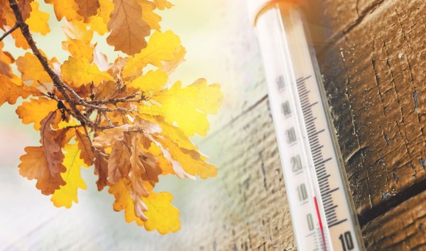 Термометр на улице осенью