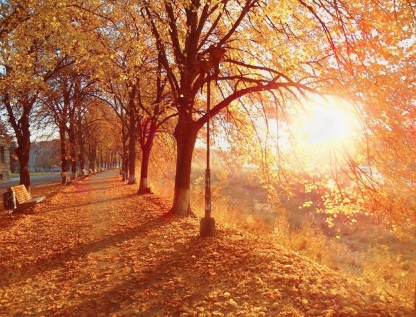 Осенний воздух