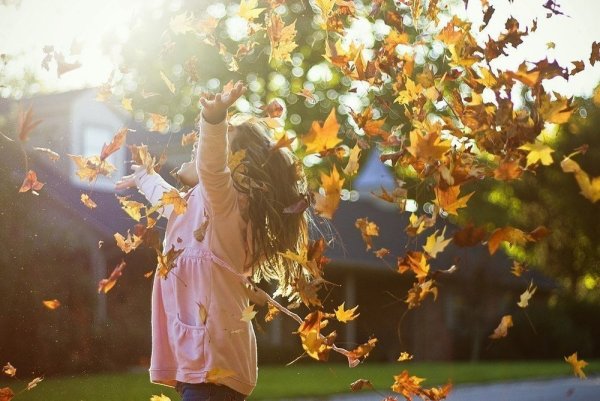 Счастливой осени