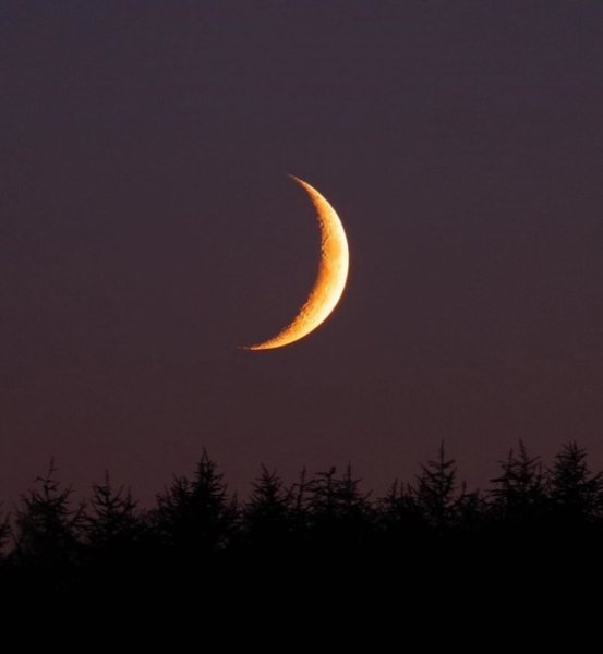 Растущий полумесяц