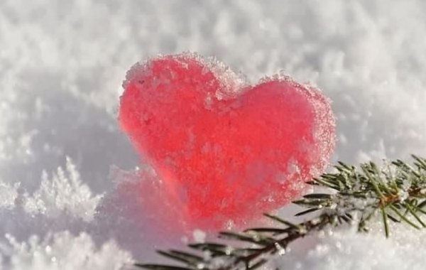 Сердечко нежность зима