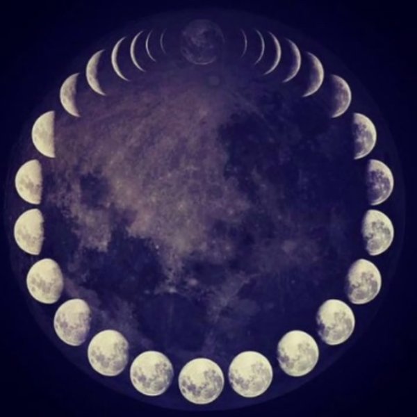 Полнолуние Светлана Поделинская