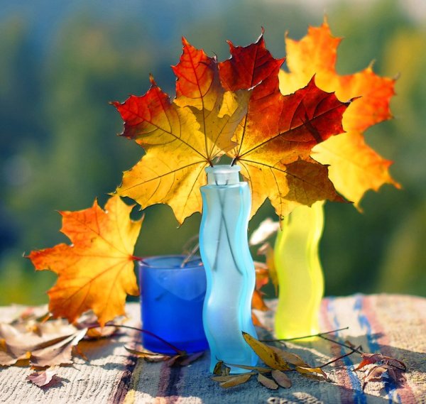 Тёплая осень