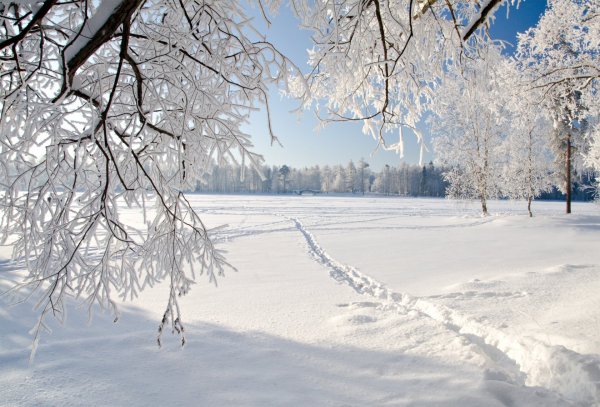 Белоснежная зима