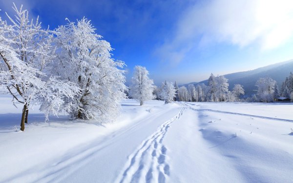 Фото на баннер зимний пейзаж