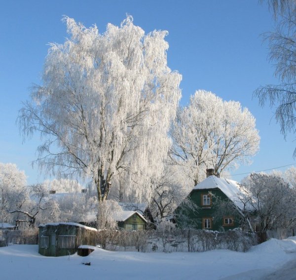Зима в деревне