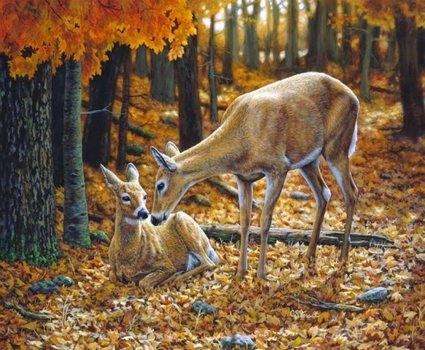 Пейзаж животные