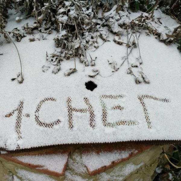 Открытки с первым снегом
