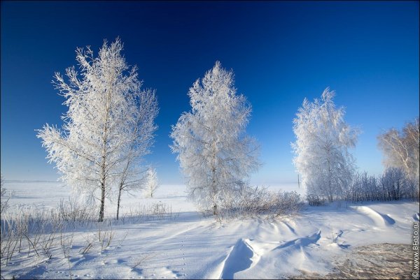 Белый снег фото