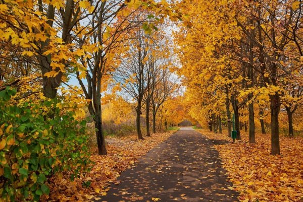 Осенняя пора очей очарованье