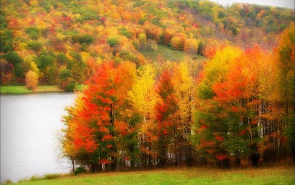 Золотая осень