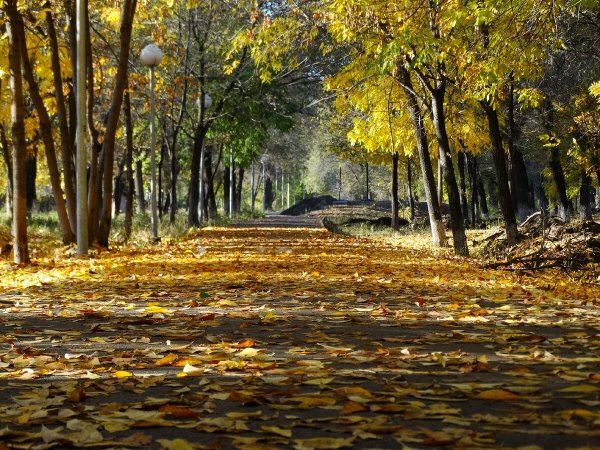 Поздняя осень