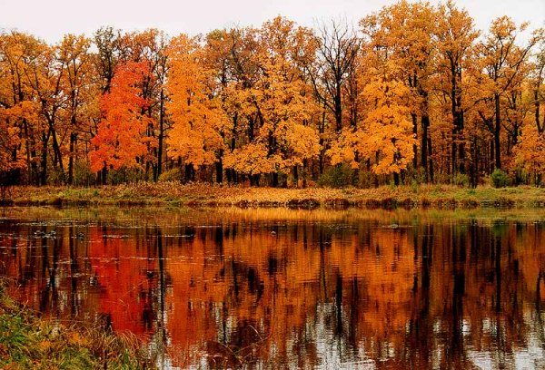 Унылая пора очей очарованье